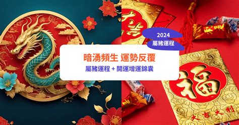 2024豬運程|【屬豬2024生肖運勢】暗湧頻生，運勢反覆｜屬豬運 